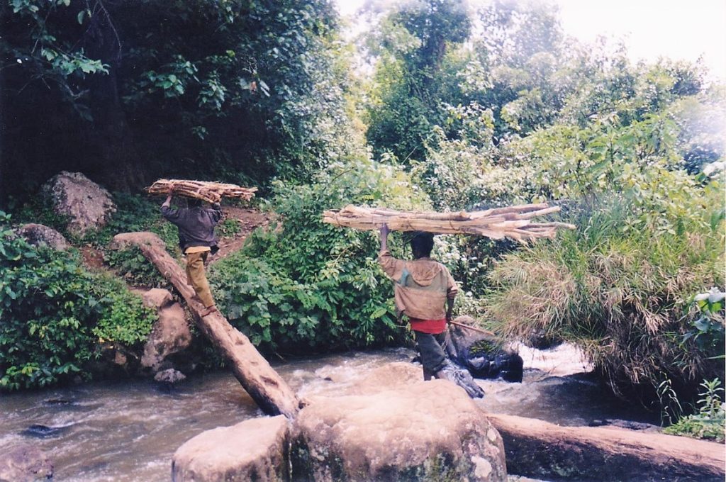 2 persons carrying wood while traversing a log on top of a river