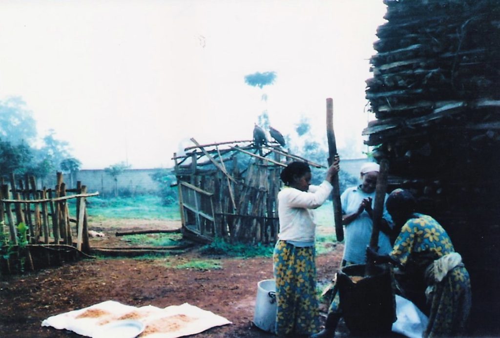 Women preparing the teff,  (a tiny, round grain) to cook the injera, the national dish of Ethiopia 