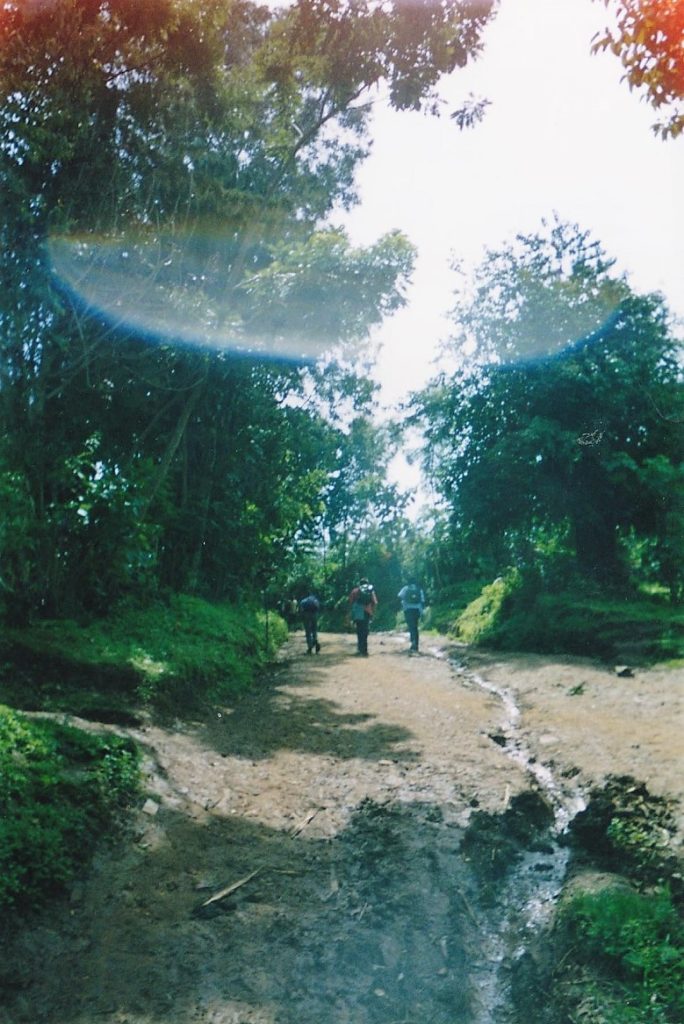 Hiking through forests