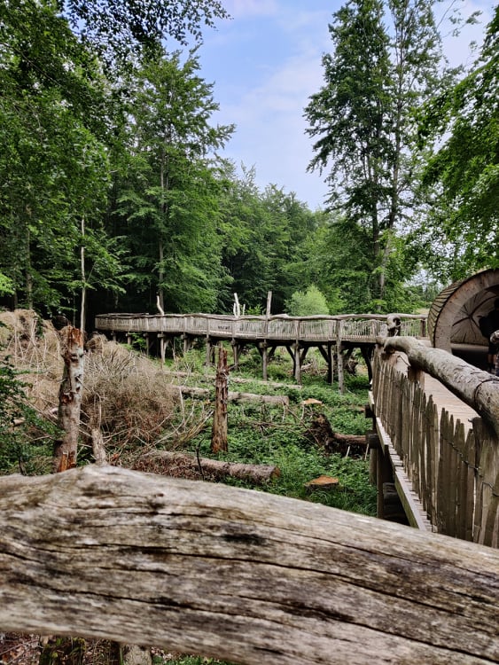 Eifel natural park - wooden walkways